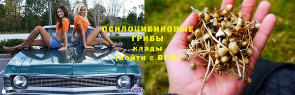 ешки Арсеньев