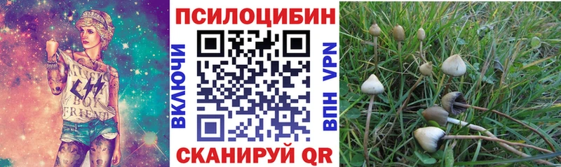 закладка  Таштагол  darknet официальный сайт  Псилоцибиновые грибы Psilocybine cubensis 